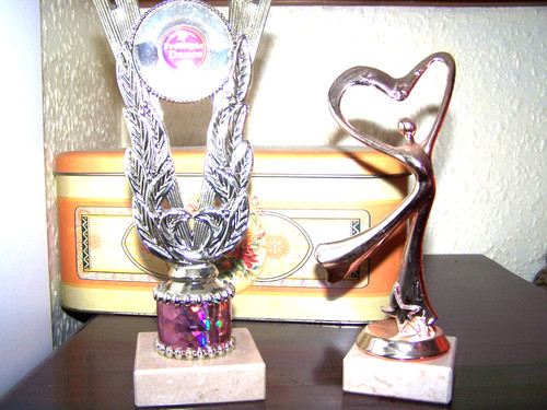 Trophies cups awards