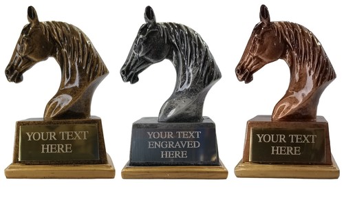 Horse head trophy - trophy,, show