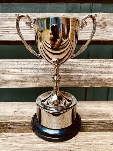 Silver trophy 7 - 🏆,
