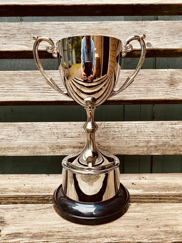Silver trophy 9 - silver, 9”