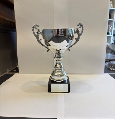 Winner cup trophy award any - winner,