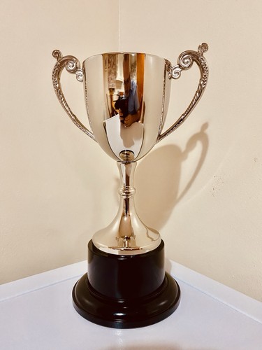 Silver trophy 10 - silver, 10”
