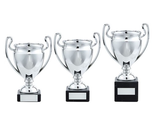 Silver trophy cup free - -,