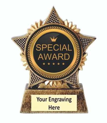 Special award trophy - trophy, star